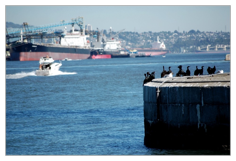 Vancouver Habour