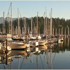 Vancouver Harbour