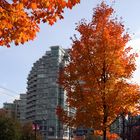 Vancouver im Herbst