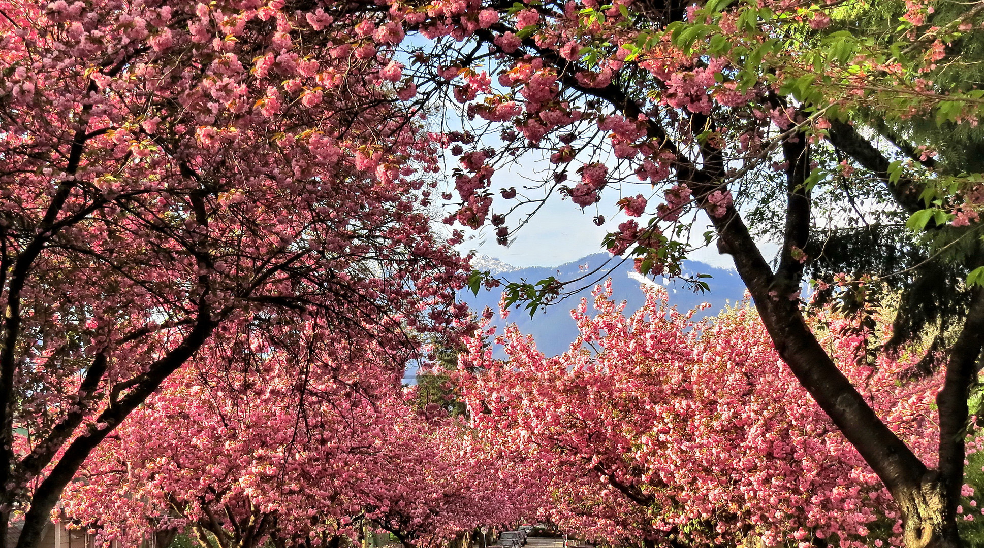 Vancouver in April