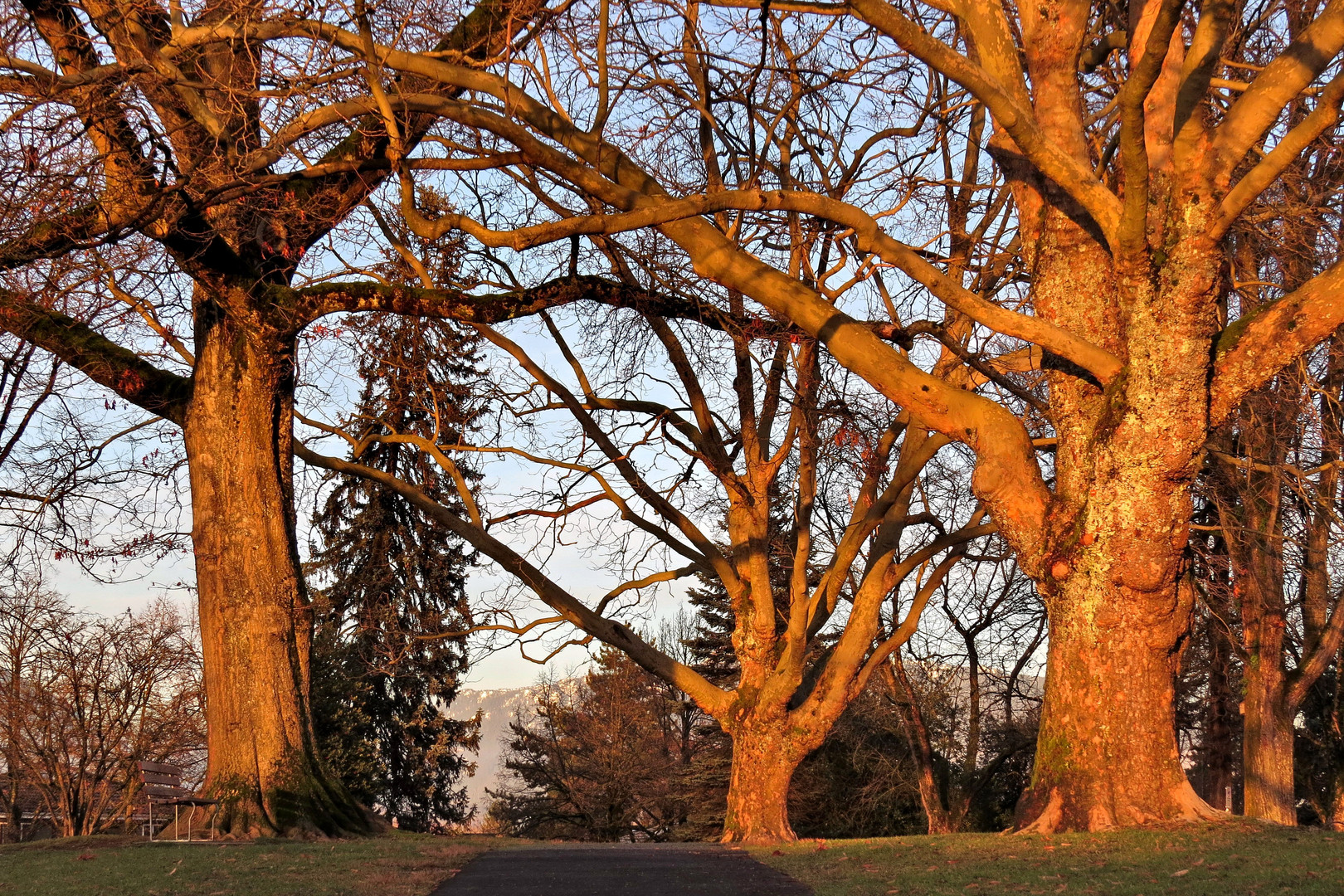 Vancouver in February (2)