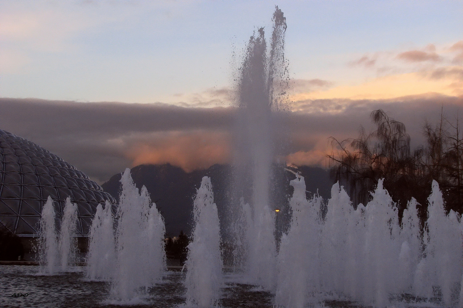 Vancouver in January (2)