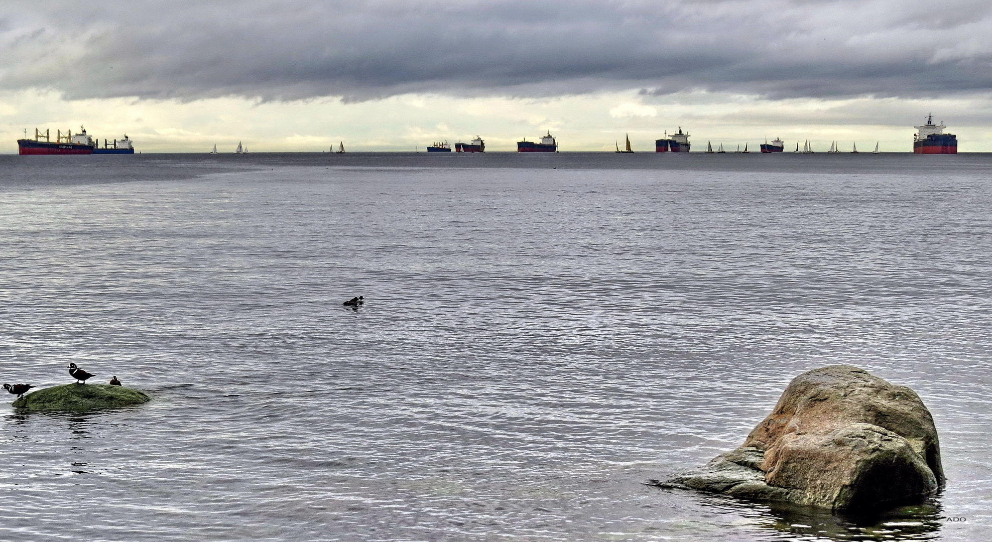 Vancouver in January