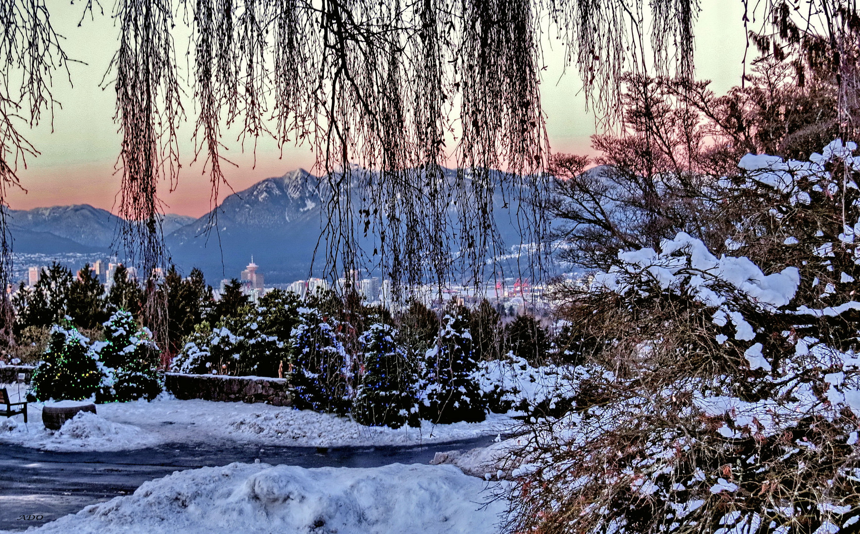 Vancouver in the Snow