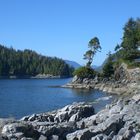 Vancouver Island 2009