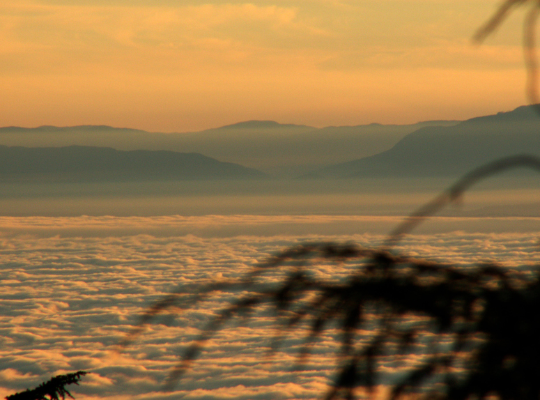 Vancouver Island