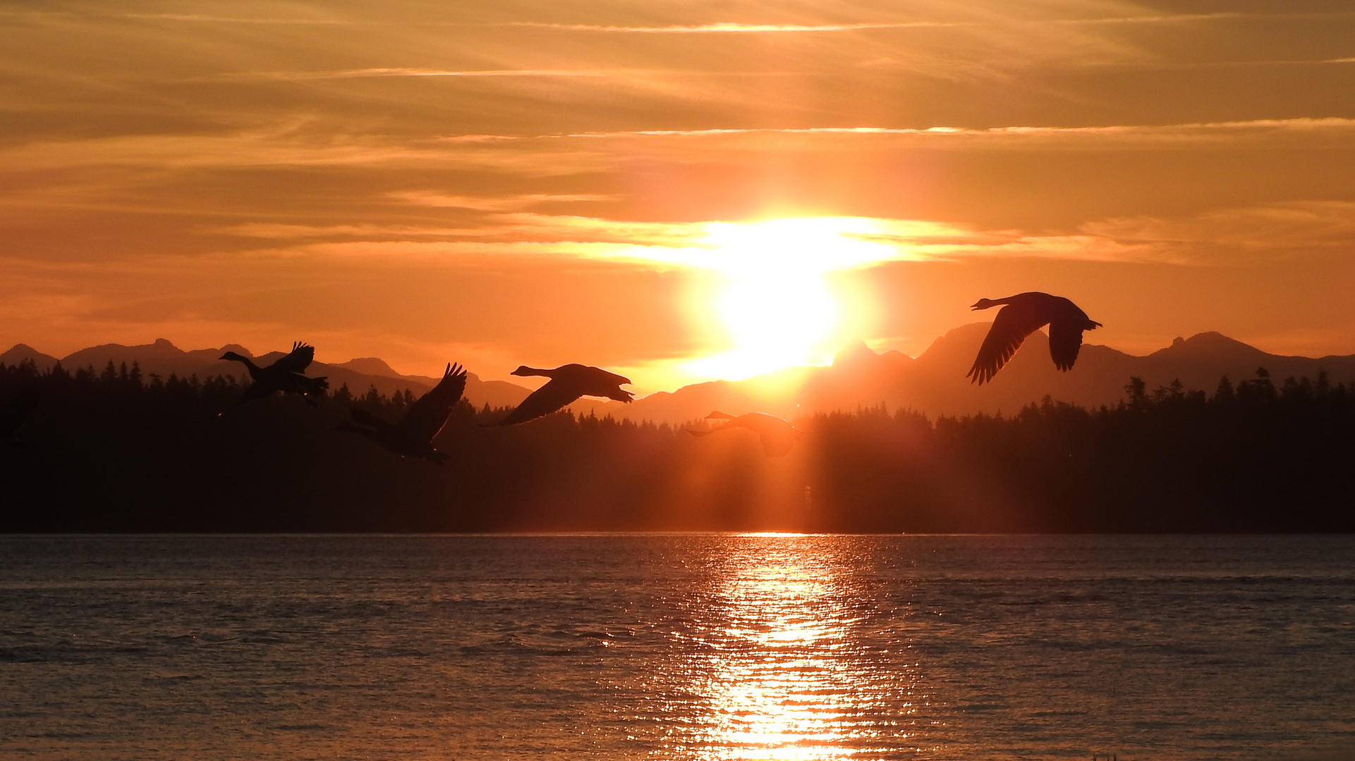 Vancouver Island