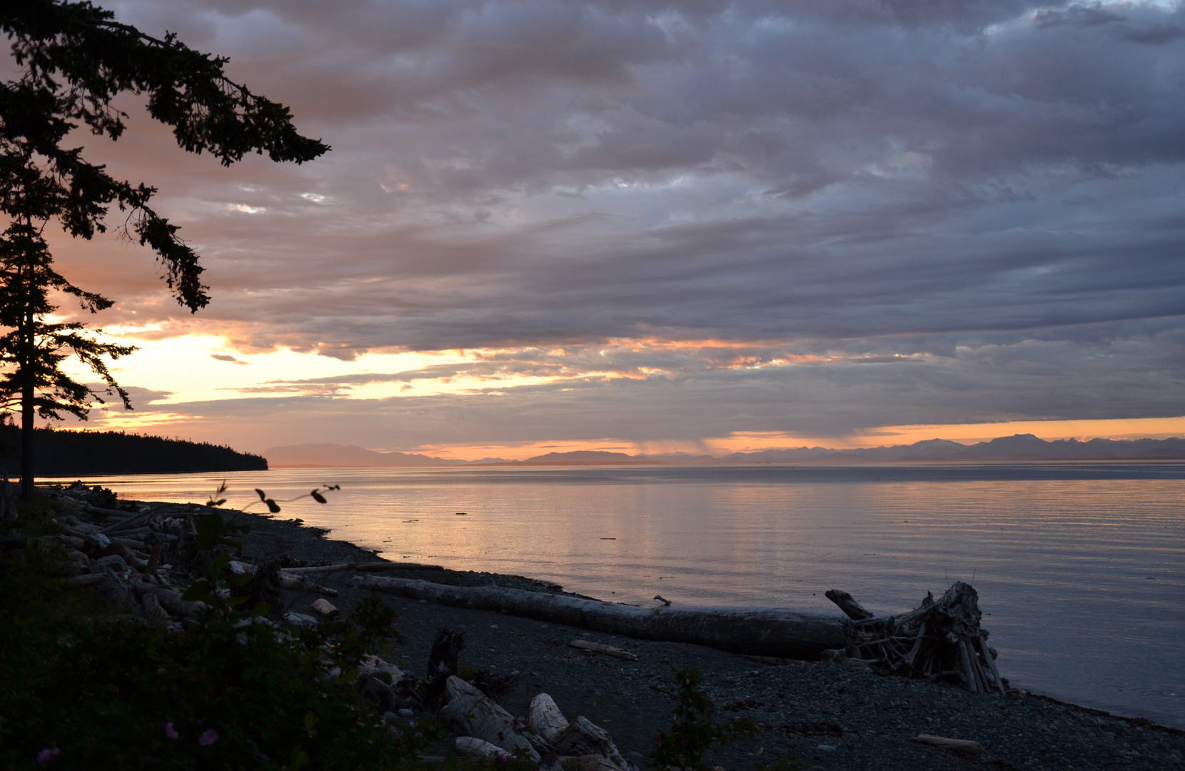 Vancouver Island - Kitty Coleman PP.