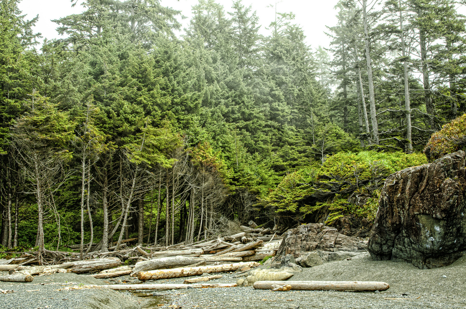 Vancouver Island Long Beach