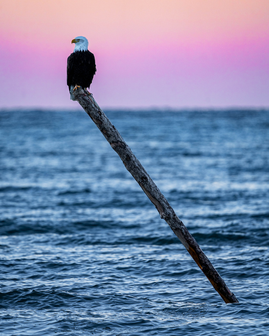 Vancouver Island Sunset