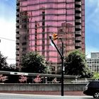 Vancouver Living - In a Pink Glass Tower