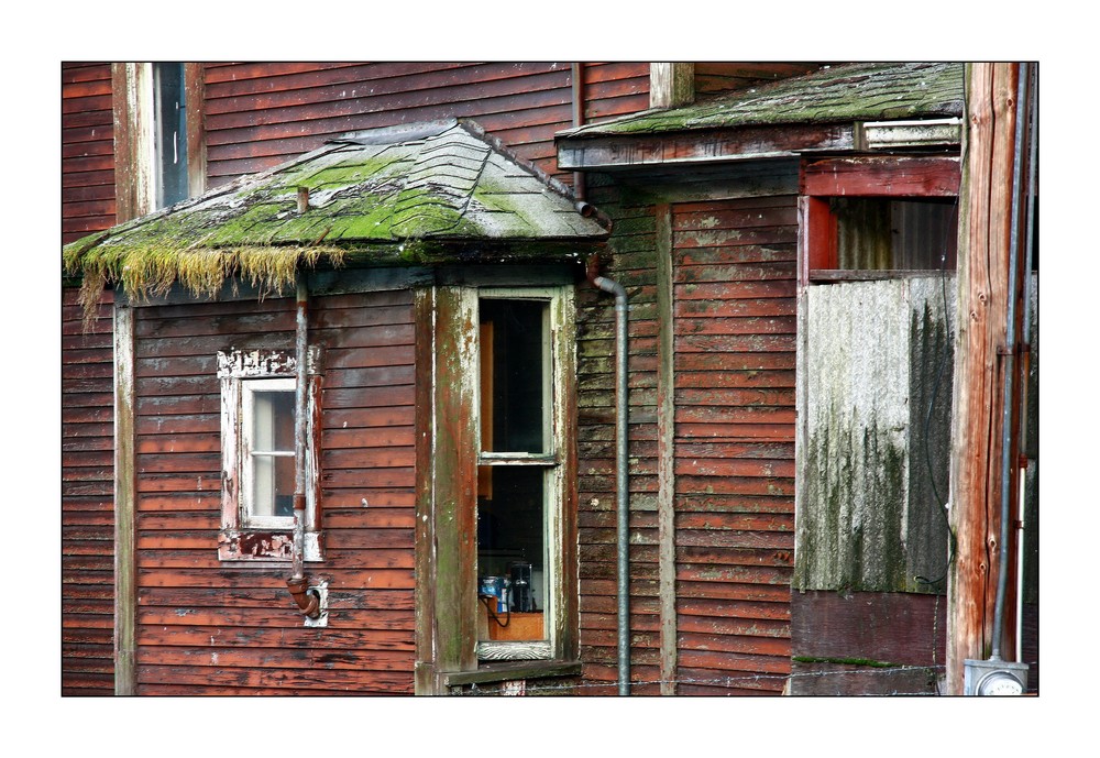 Vancouver Living .... in a run-down Heritage Home