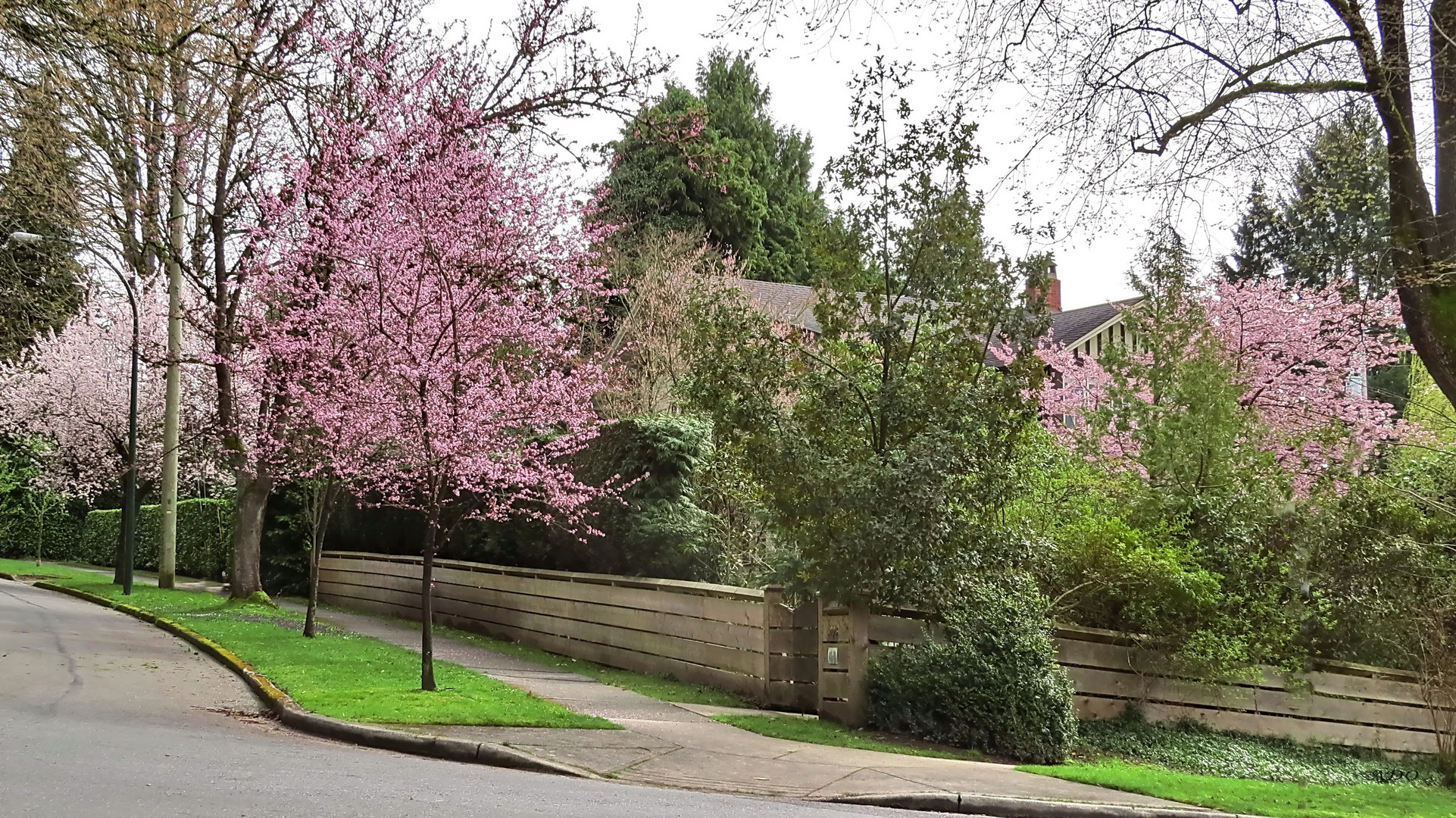 Vancouver Living - on a Spring Day