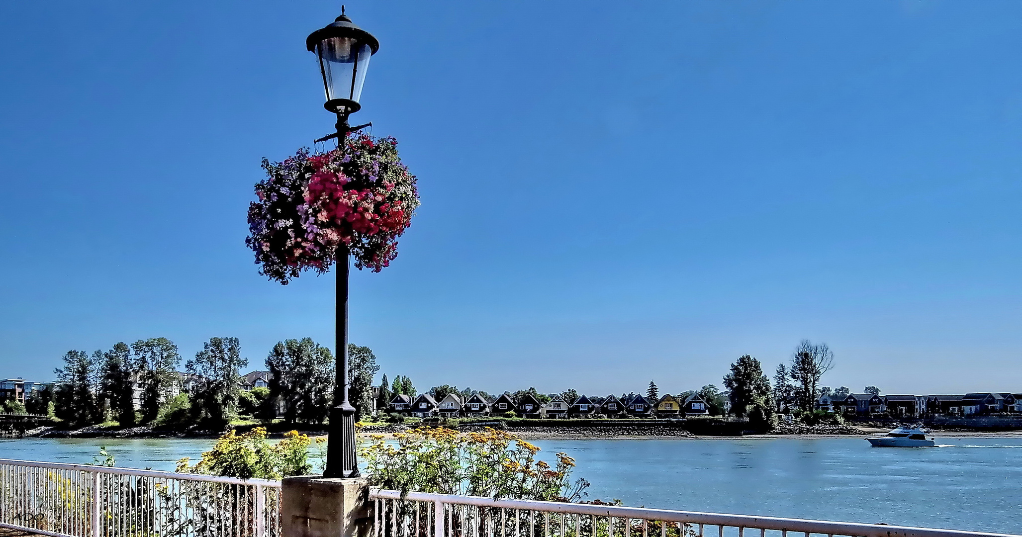 Vancouver Living - on the other Side of the River