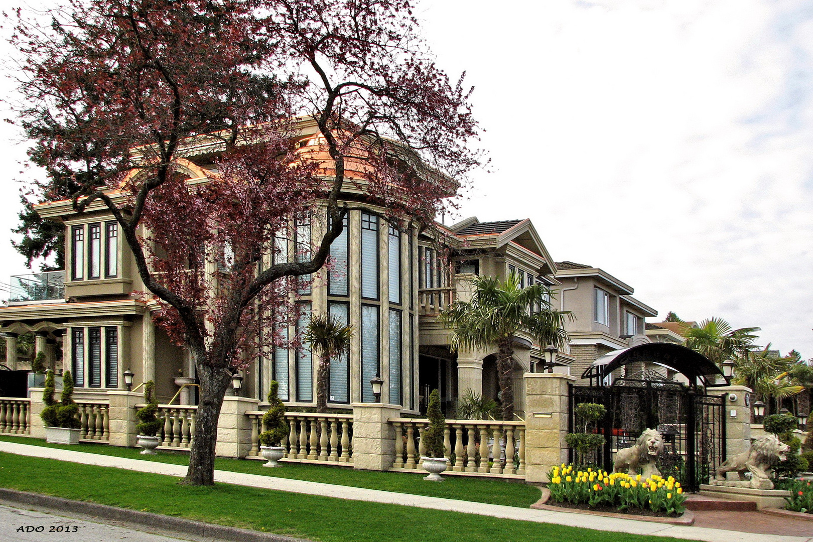 Vancouver Living - with Lions and Palm Trees