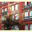 Vancouver Living ... with Peeling Paint and Fake Balconies