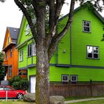 Vancouver Living .... with Screaming Colours