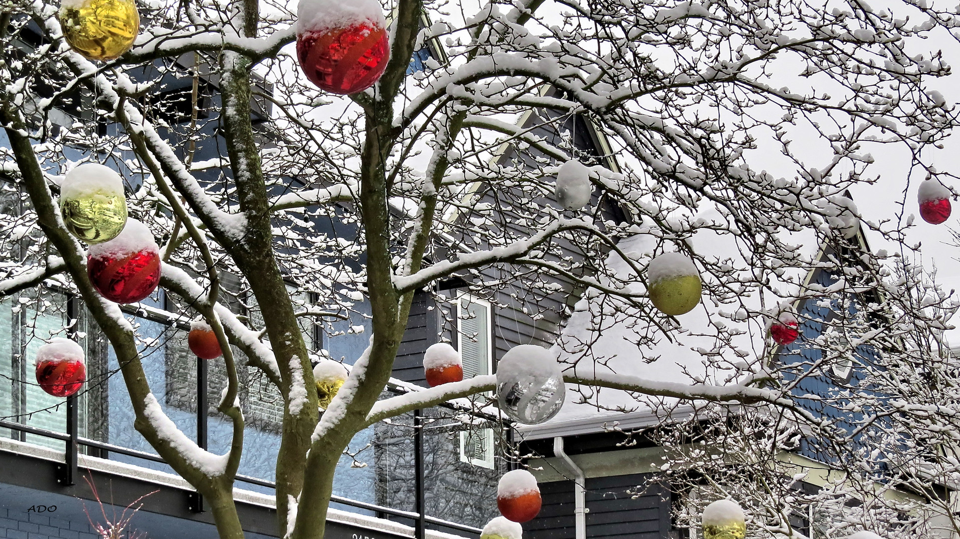 Vancouver Living - with snow and Christmas decorations