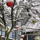 Vancouver Living - with snow and Christmas decorations