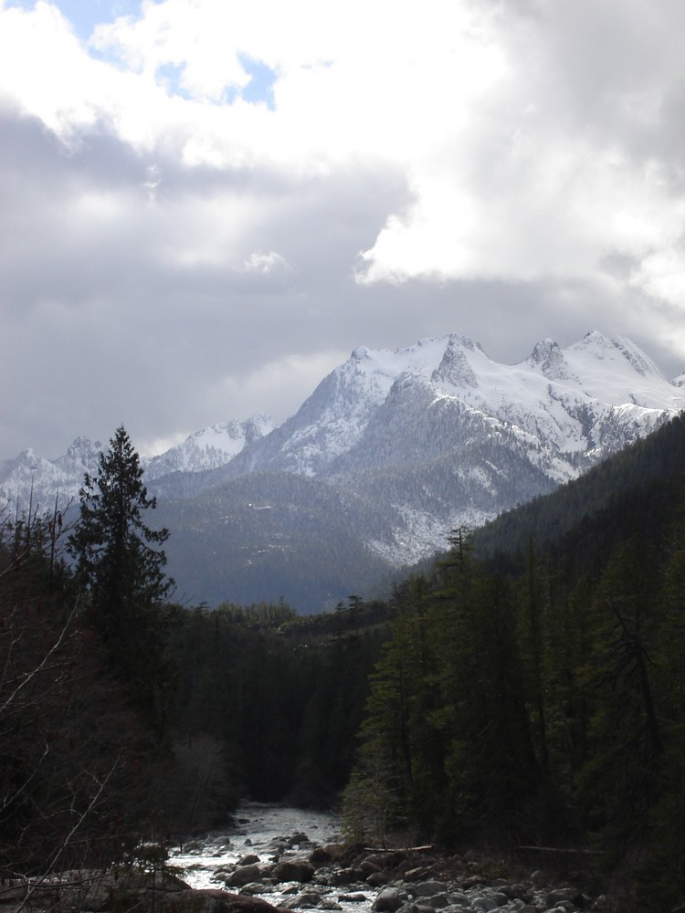 Vancouver Mountain Stream