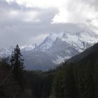 Vancouver Mountain Stream