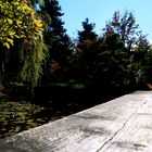 Vancouver - SEN PARK - Impressionen ...´15 / 1721b