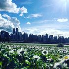 Vancouver skyline