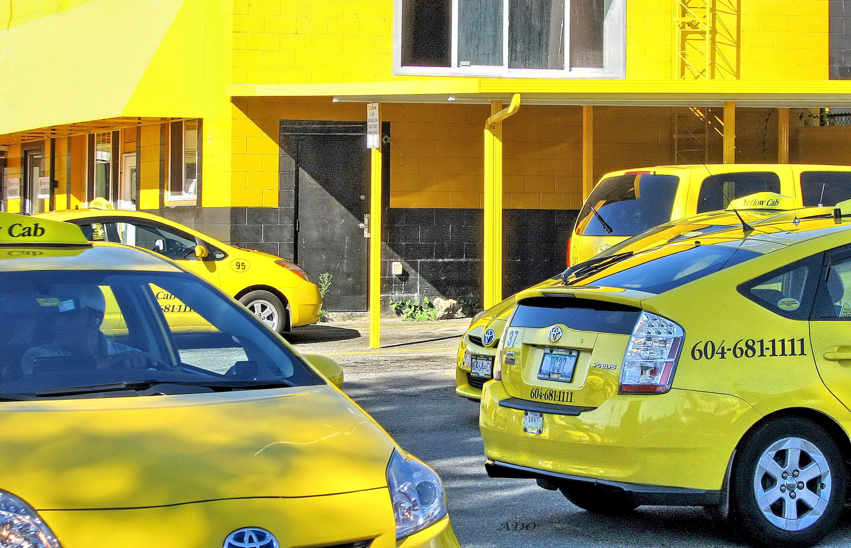 Vancouver Yellow Cabs