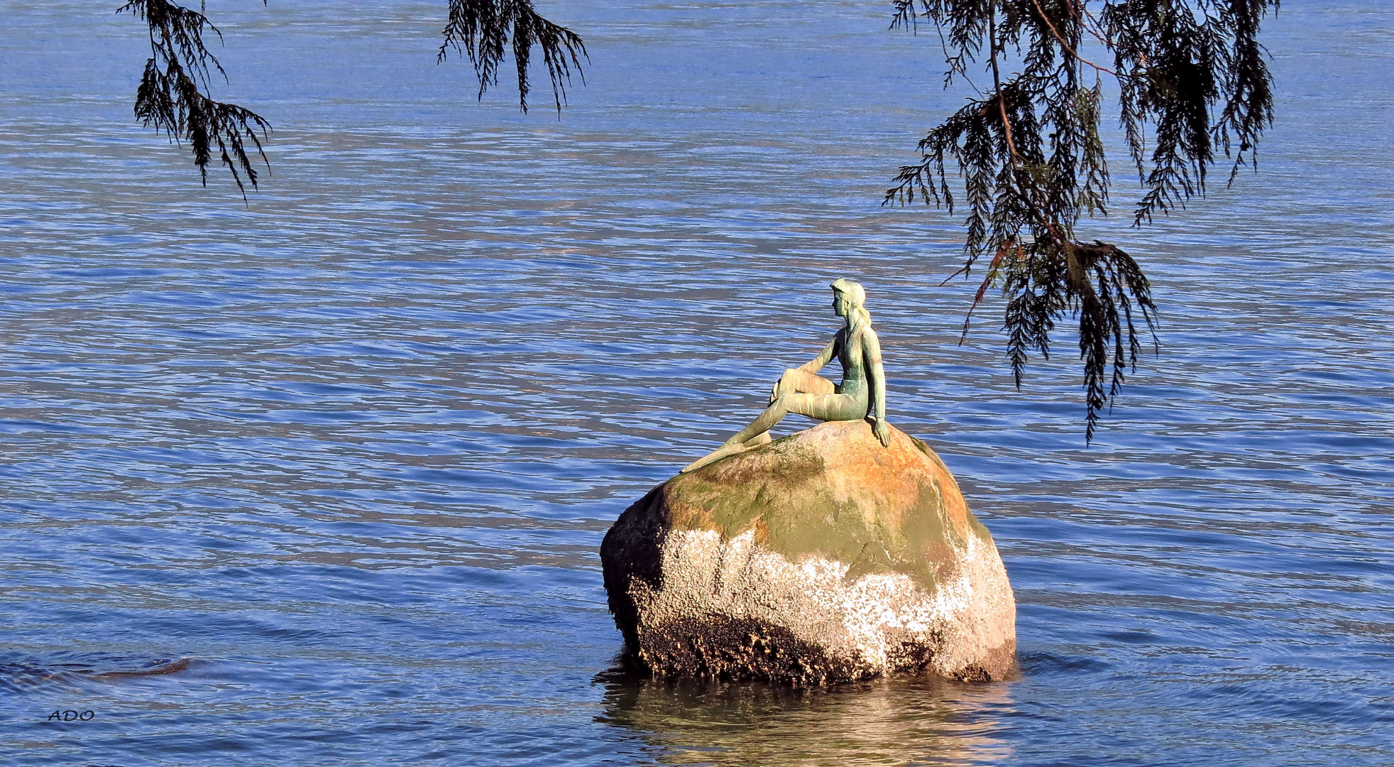 Vancouver's Girl in a Wetsuit