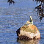 Vancouver's Girl in a Wetsuit