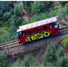 vandalismo su carrozza storica....