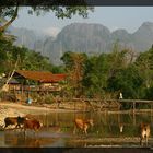 Vang Vieng