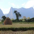 Vang Vieng, Laos