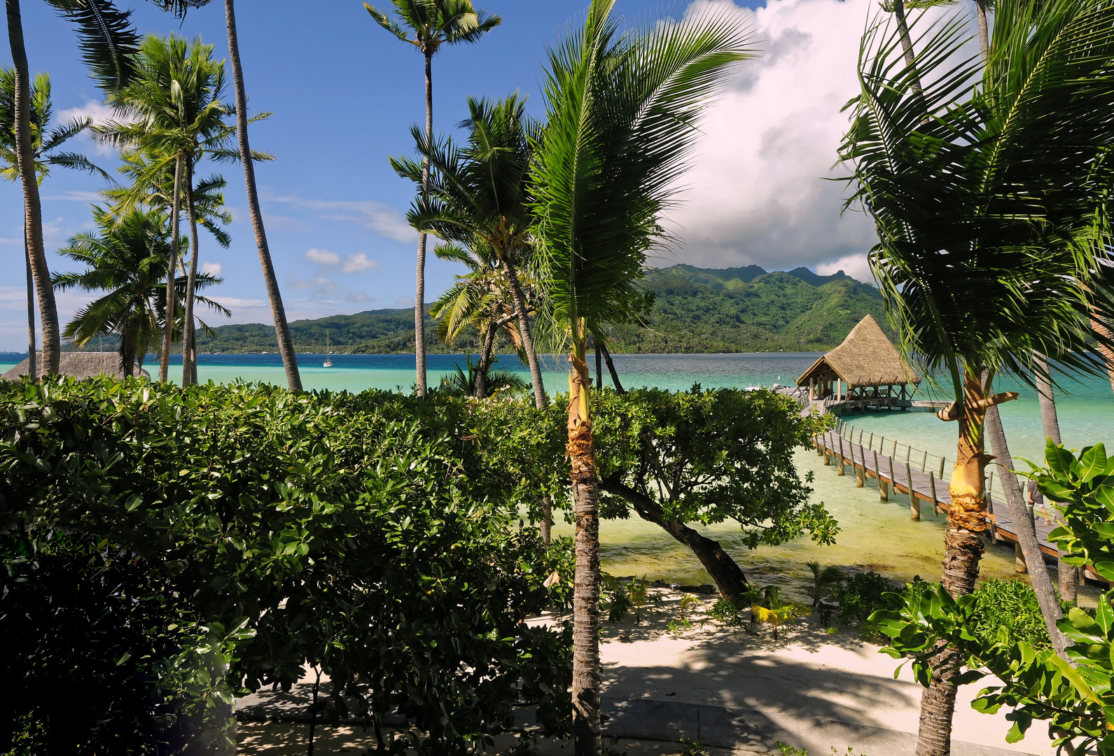 Vanilleinsel Tahaa - Südseetraum Tahiti -