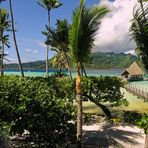 Vanilleinsel Tahaa - Südseetraum Tahiti -