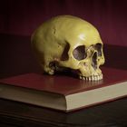 Vanitas Stillleben mit Totenkopf # 2 (überarbeitet)