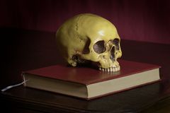 Vanitas Stillleben mit Totenkopf # 2 (überarbeitet)