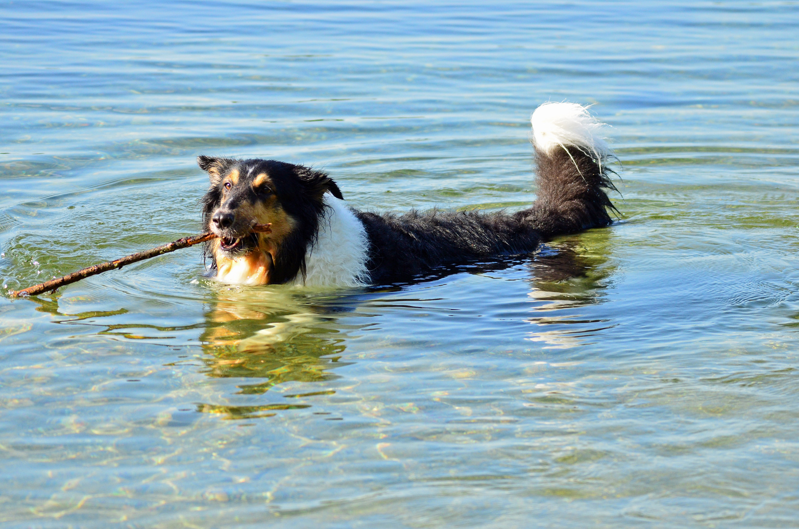 Vanja beim morgentlichen Bad im See