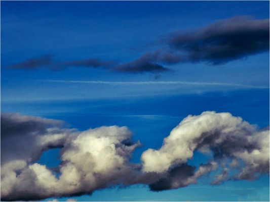 Vanno, vengono ......e ogni tanto si fermano.