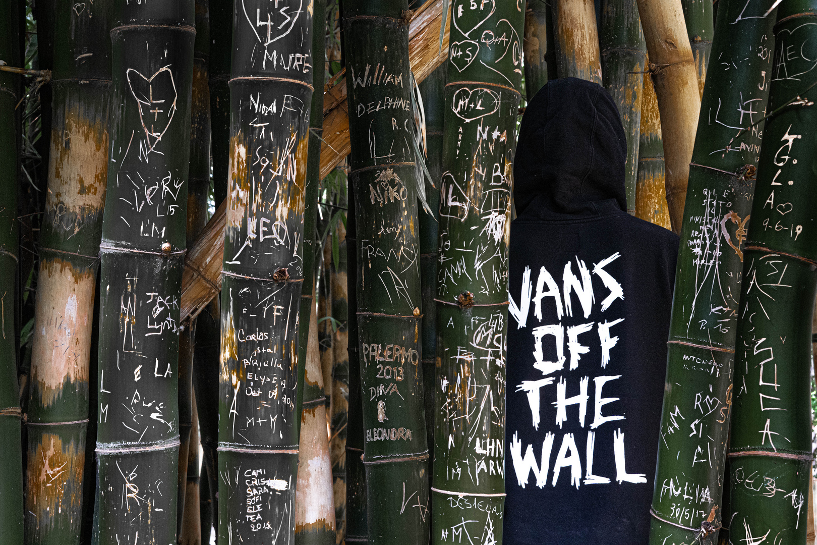 VANS OFF THE WALL