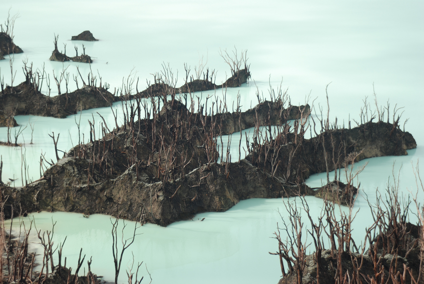 Vanuatu, entlaubte Bäume am Säuresee des Ambae