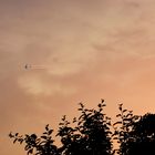 Vapour Trails In The Sunset