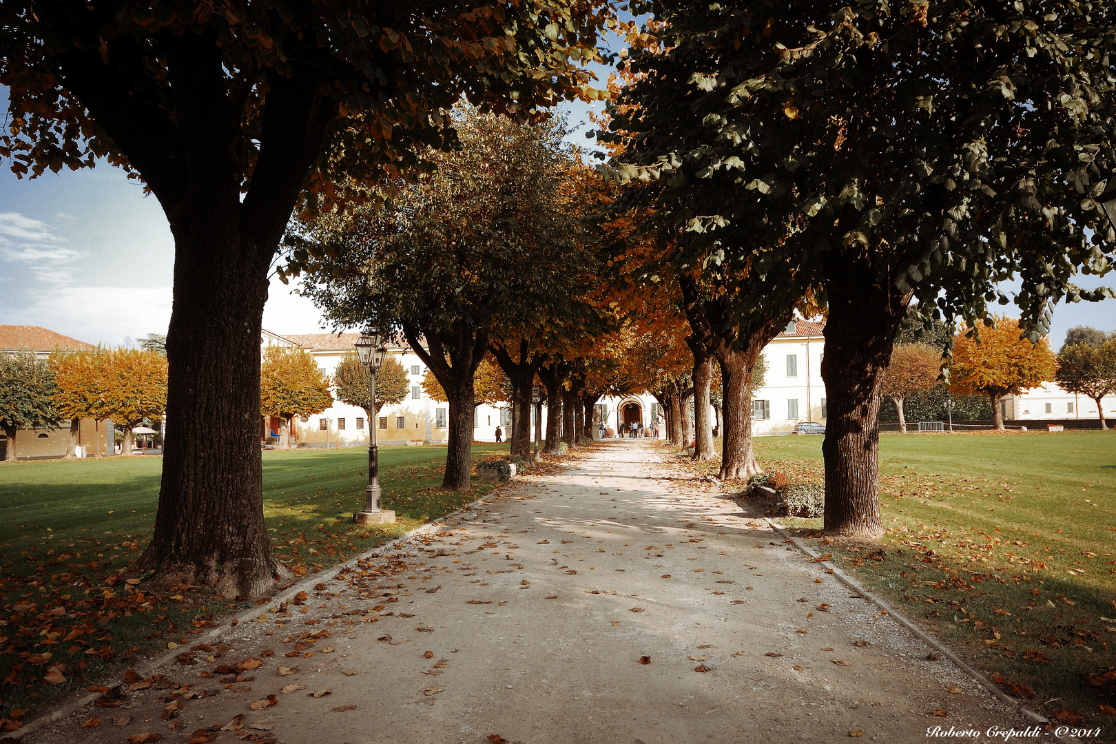 Vaprio d'Adda, viale alberato