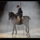 Vaquero