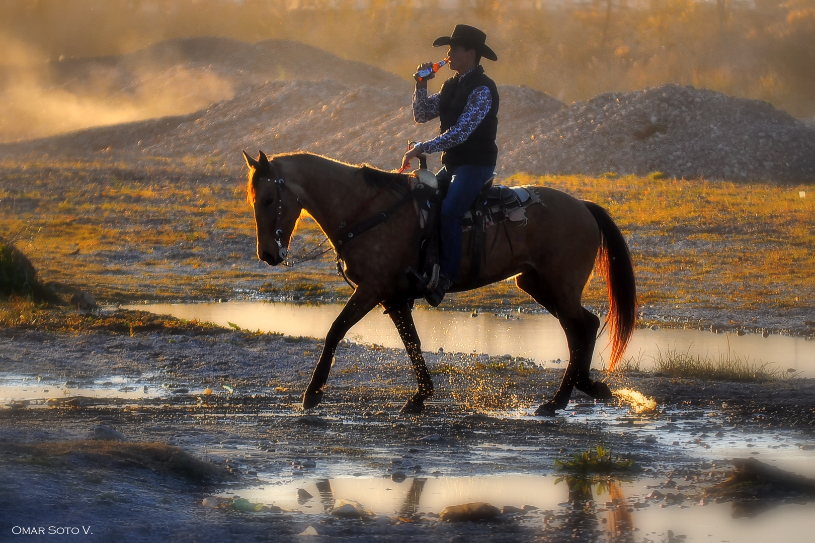 VAQUERO