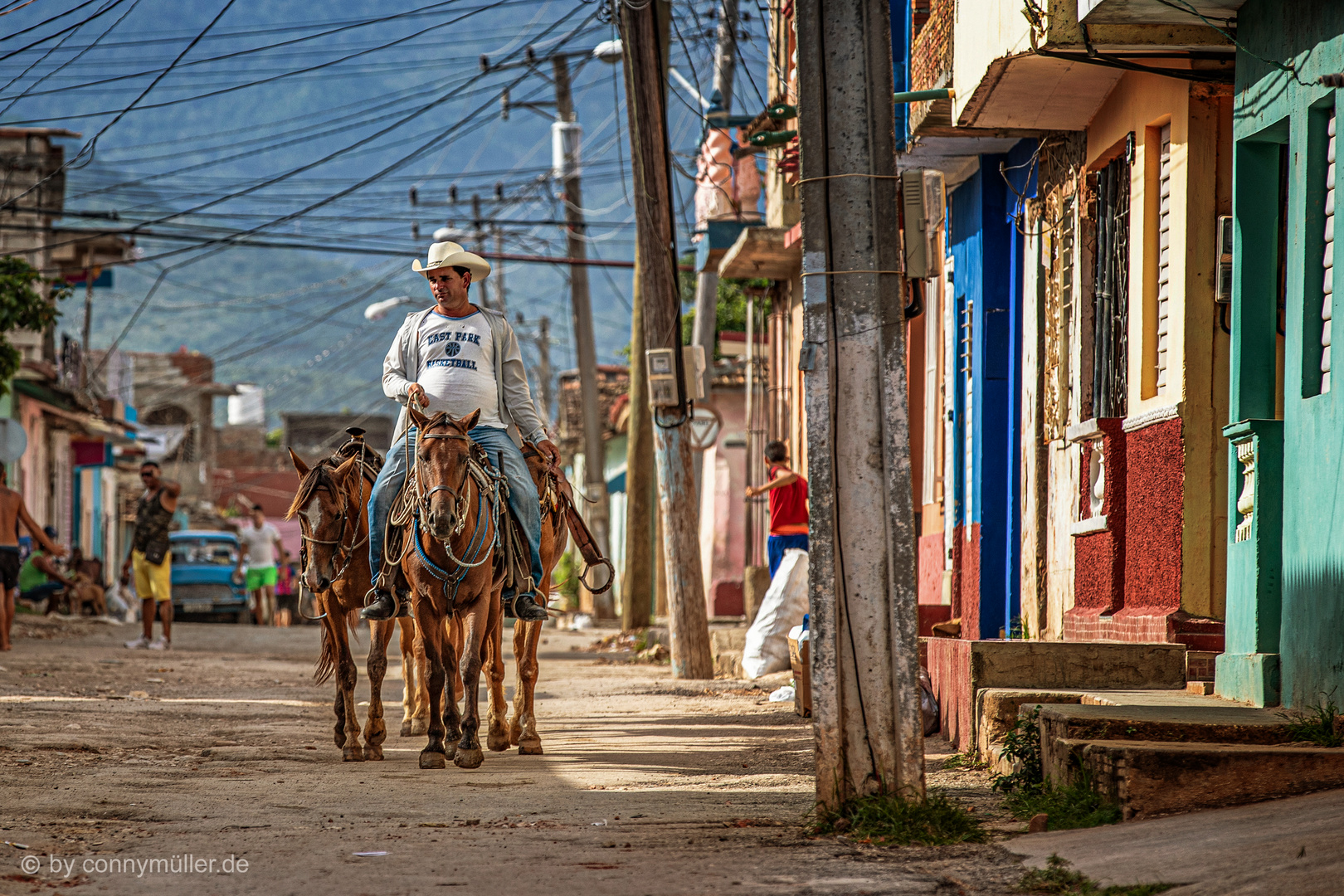 Vaquero Solitario