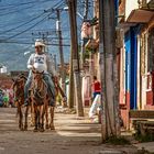 Vaquero Solitario