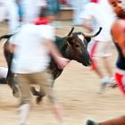 Vaquillas en San Fermin