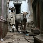 varanasi street