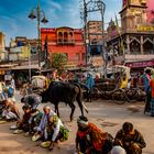 Varanasi Streetlife